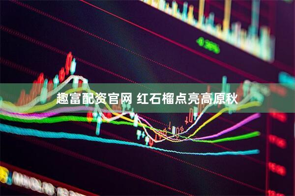 趣富配资官网 红石榴点亮高原秋