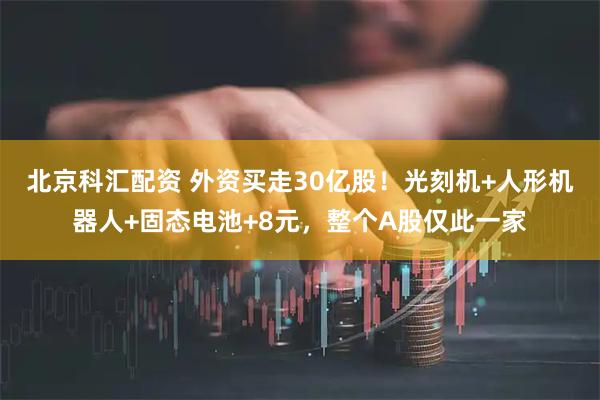 北京科汇配资 外资买走30亿股！光刻机+人形机器人+固态电池+8元，整个A股仅此一家